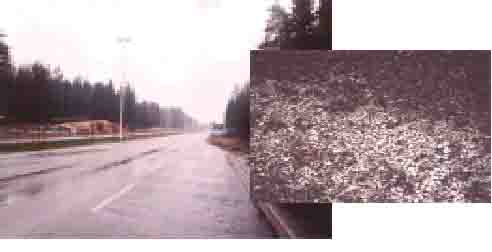 Wet roadway in Finland (inset, close-up of pavement).
