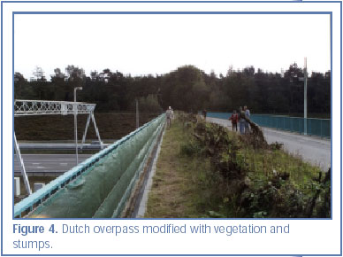Figure 4. Dutch overpass modified with vegetation and stumps