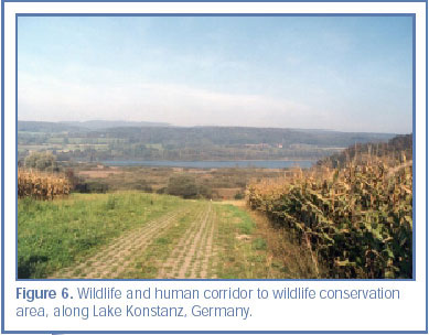 Figure 6. Wildlife and human corridor to wildlife conservation area, along Lake Konstanz, Germany. 