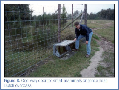 Figure 8. One-way door for small mammals on fence near Dutch overpass.