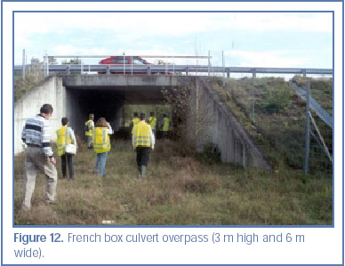 Figure 12. French box culvert overpass (3 m high and 6 m wide).