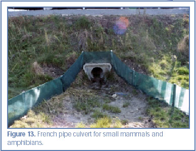 Figure 13. French pipe culvert for small mammals and