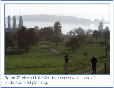 Figure 17. View of Lake Konstanz conservation area after landscape-level planning.