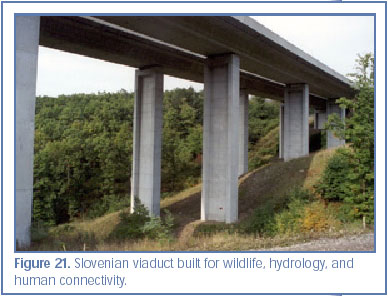 Figure 21. Slovenian viaduct built for wildlife, hydrology, and human connectivity.