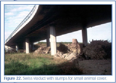 Figure 22. Swiss viaduct with stumps for small animal cover.