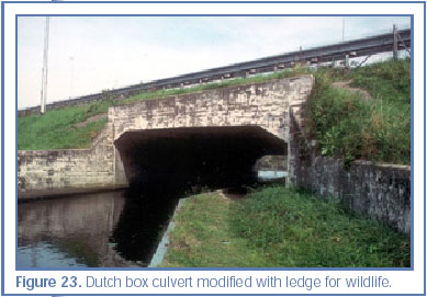 Figure 23. Dutch box culvert modified with ledge for wildlife.