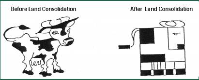 Figure 5. Land consolidation enables property owners to achieve farms with better layouts.