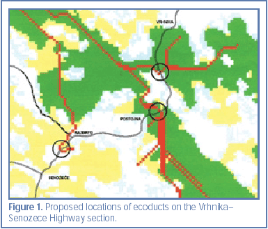 Figure 1. Proposed locations of ecoducts on the Vrhnika- Senozece Highway section.