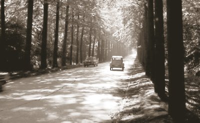 Photo of Belgium's first concrete pavement, built in 1925 in Brussels.