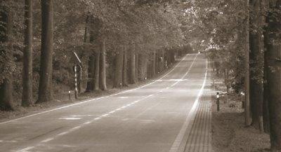 Photo of concrete overlay constructed in 2003 on Avenue de Lorraine in Brussels.