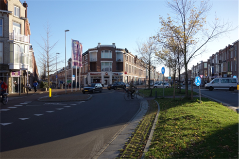 Figure Example of a shortcut for cyclists - Description: Picture of a street that has shortcuts built into their grass area for cyclists. 