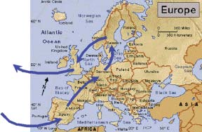 Figure 1. Scan tour map